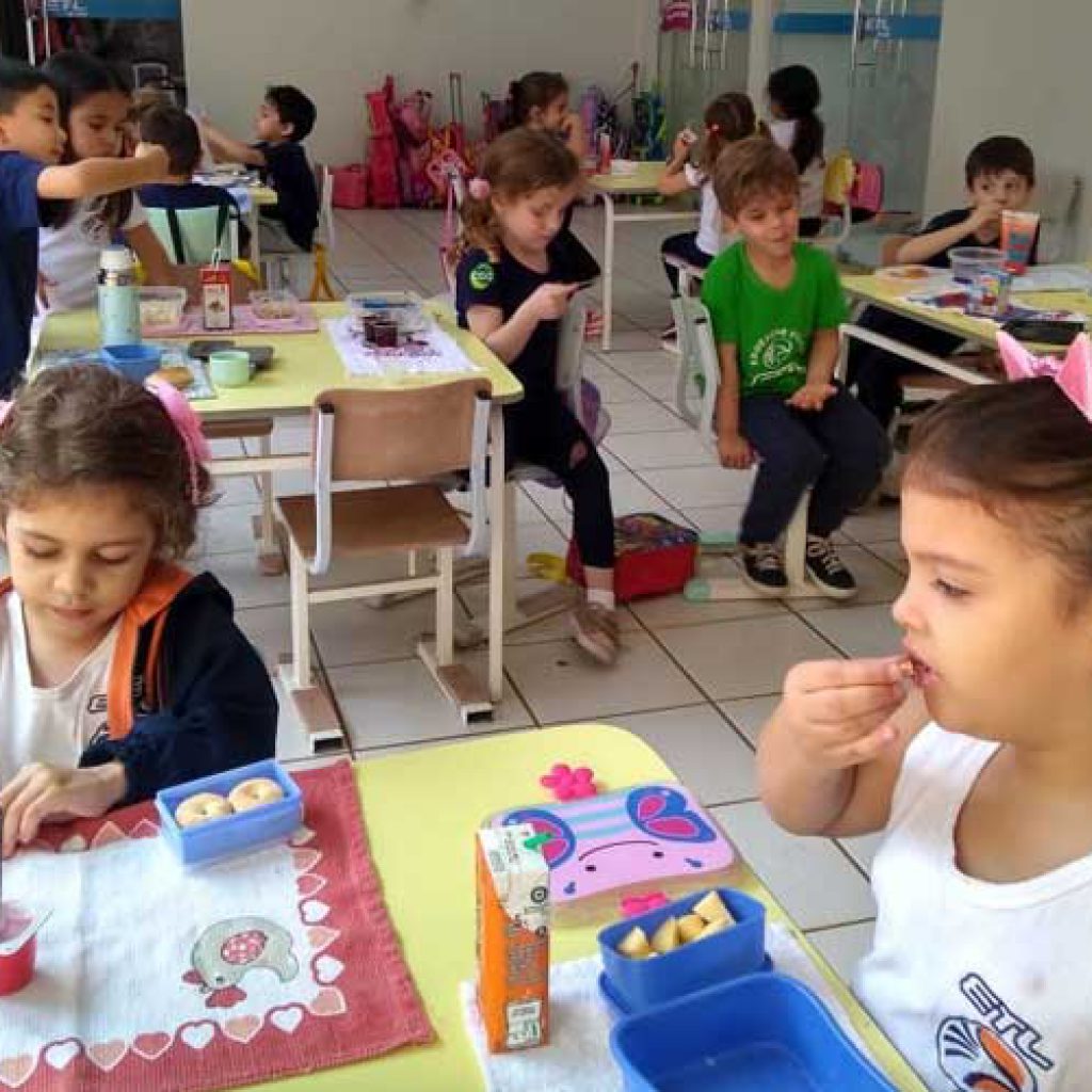 Horta de Tomate na escola